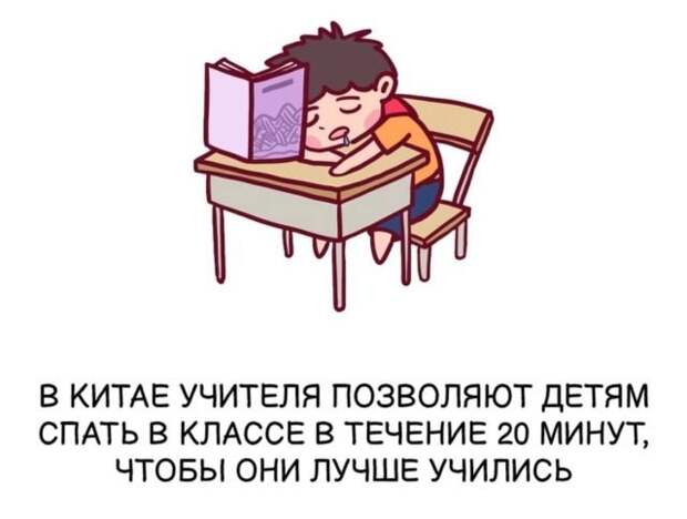 Интересные короткие факты на все случаи жизни