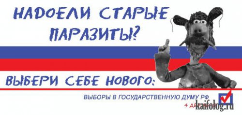 Все на выборы (50 фото + видео)