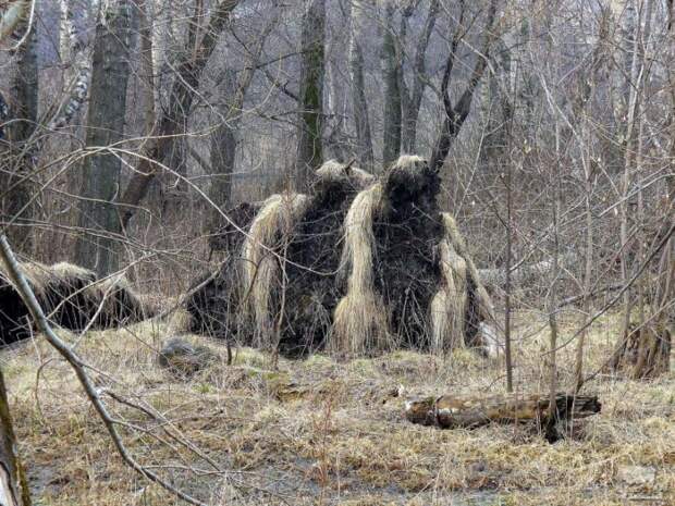 0247 Лучшие фотографии России 2011. Номинация “Природа”