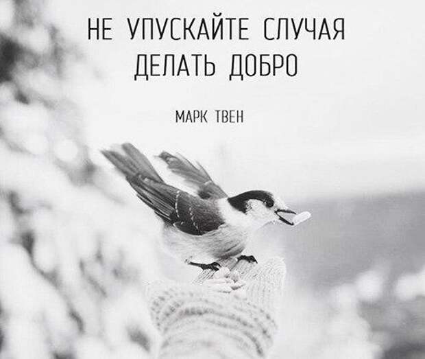 Позитивные фотографии и милые картинки для улыбки
