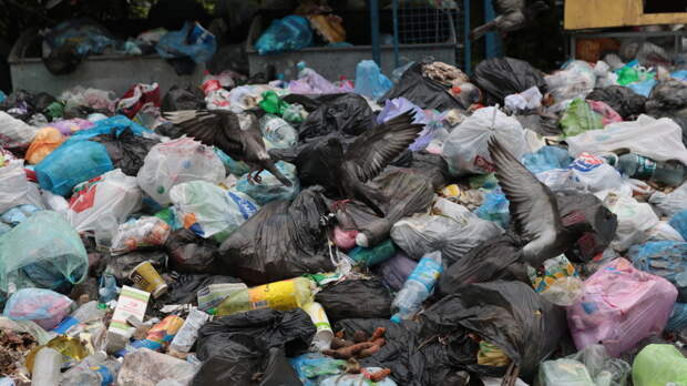 Со стихийной свалки в Глазове вывезли 50 тонн мусора