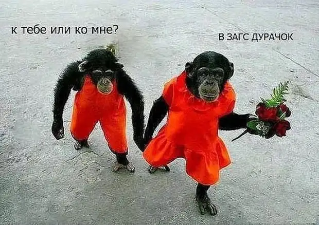 Парни, если у вас нет денег на шубу, говорите всем, что вы состоите в обществе защиты животных очень, красивый, такой, сегодня, минут, стыдно, расстроенная, мужчиной, пошла, свидание, Вернулась, подруге, говорит, Интернету, Представляешь, приехал, мерседесе, двадцать, восьмого, выпуска