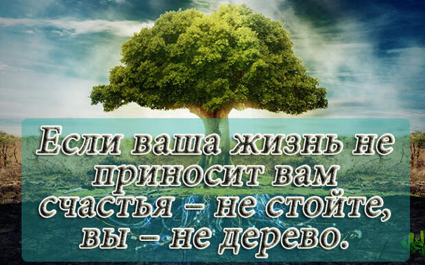 Так нельзя делать тем, кто не хочет чтобы жизнь прошла мимо