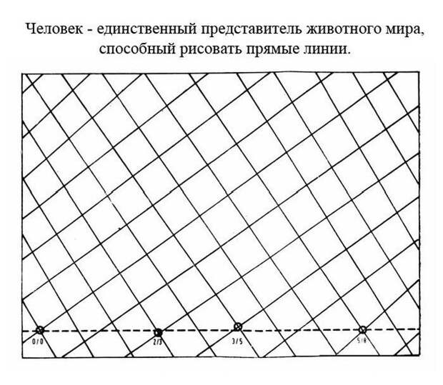 Познавательные и забавные факты (24 фото) Познавательные и забавные факты (24 фото)