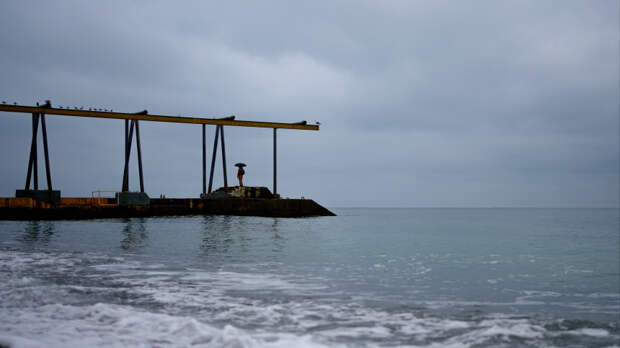 В Крыму планы Зеленского по захвату Черного моря назвали бизнес-проектом