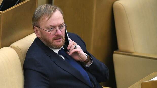 Депутат Милонов предложил ввести новые льготы для многодетных в отпуске