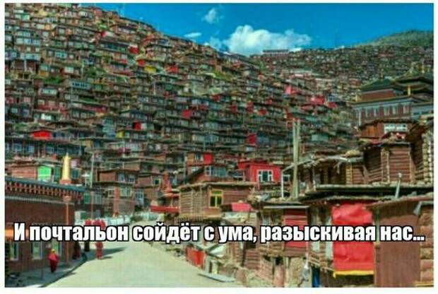 Свежие прикольные картинки
