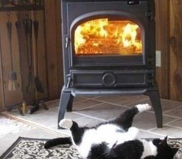 черно-белый кот лежит перед камином