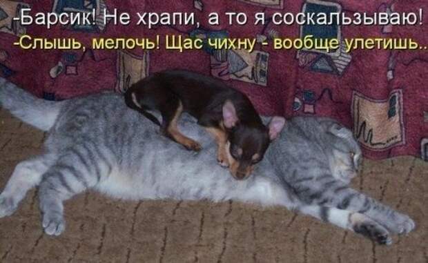 Анекдоты для пятничного настроения (16 шт)