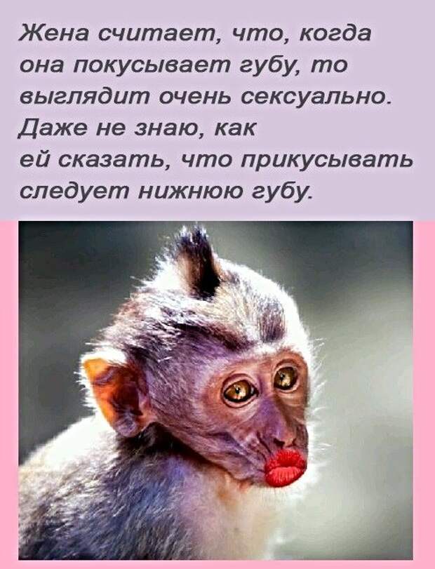Анекдоты, истории и картинки с надписями