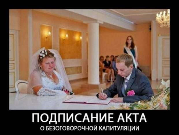 Большая порция прикольных демотиваторов (29 шт)