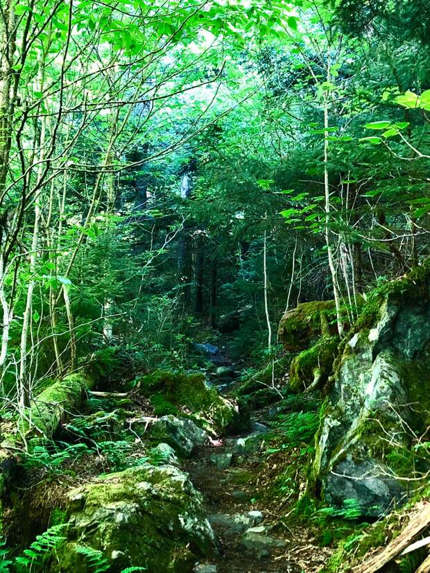 Красота природы на фотографиях
