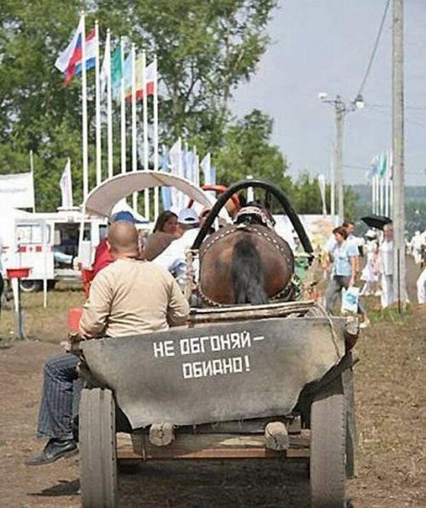 надпись