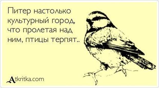 www.vsyako.net