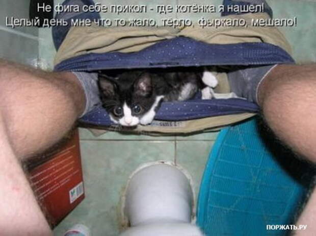 Супер приколы )))