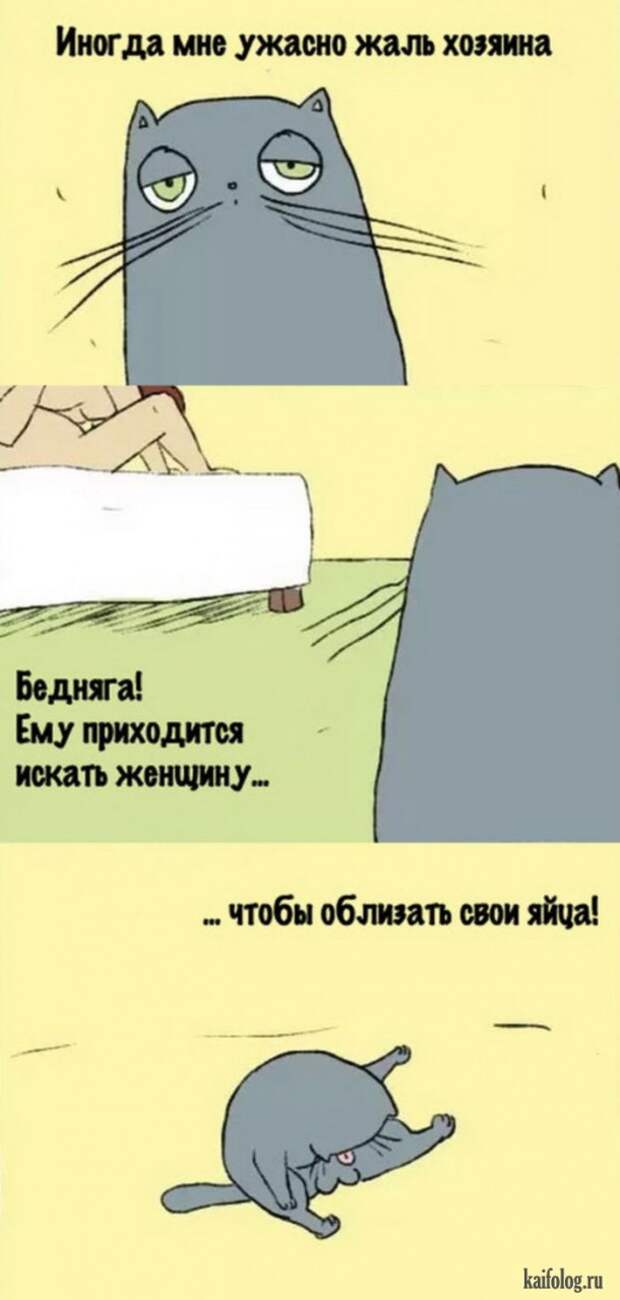 Веселые картинки (60 картинок)