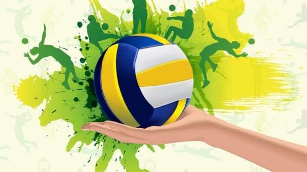 Товарищеская встреча по волейболу.