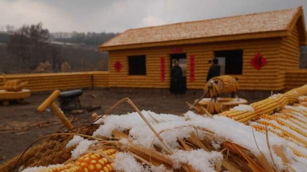 Китайский крестьянин строит ферму из кукурузы деревня, дом, китай, кукуруза, своими руками, строительство, фермер