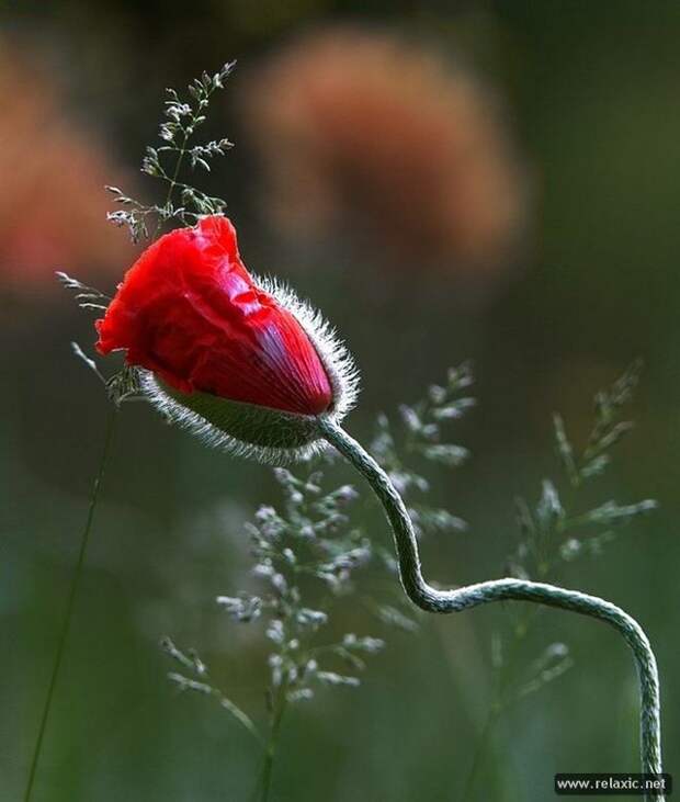 Andris_Eglitis_003 Andris_Eglitis_003