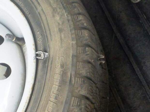 Приколы, приколы, приколы...