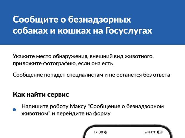 Сообщить о безнадзорном животном можно через «Госуслуги»