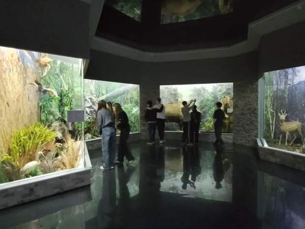 Школьники Майкопа узнали о природных богатствах и культурном наследии Адыгеи