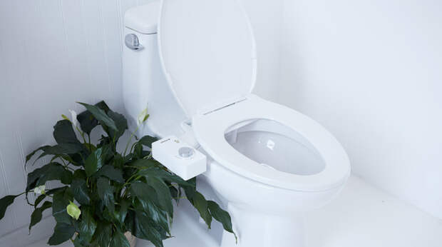 Straight Flush: High-Tech Toilets Usher Homes into the Future