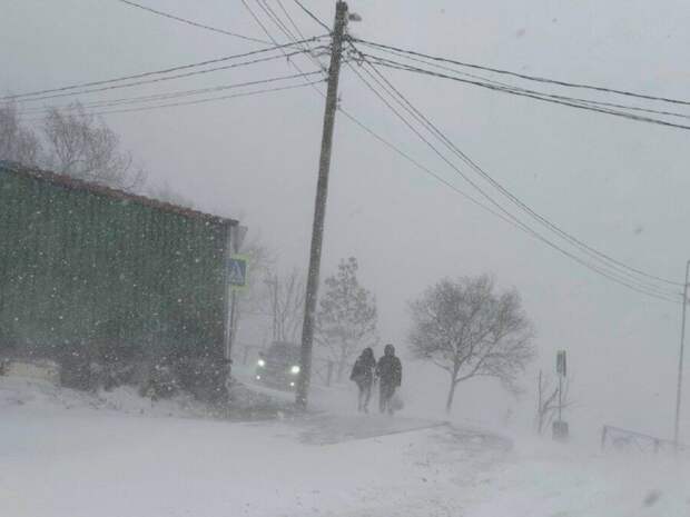 Субботний снегопад стал мощнейшим для Приморья за 20 лет