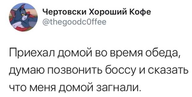 Выходя в интернет не забывайте свое чувство юмора Выходя в интернет не забывайте свое чувство юмора