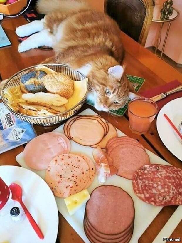 b5e7a39b13830586dcfbd7a1d5cf59a1 (524x700, 107Kb)