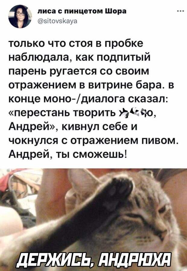 Смешные картинки 17 сентября 2021 года