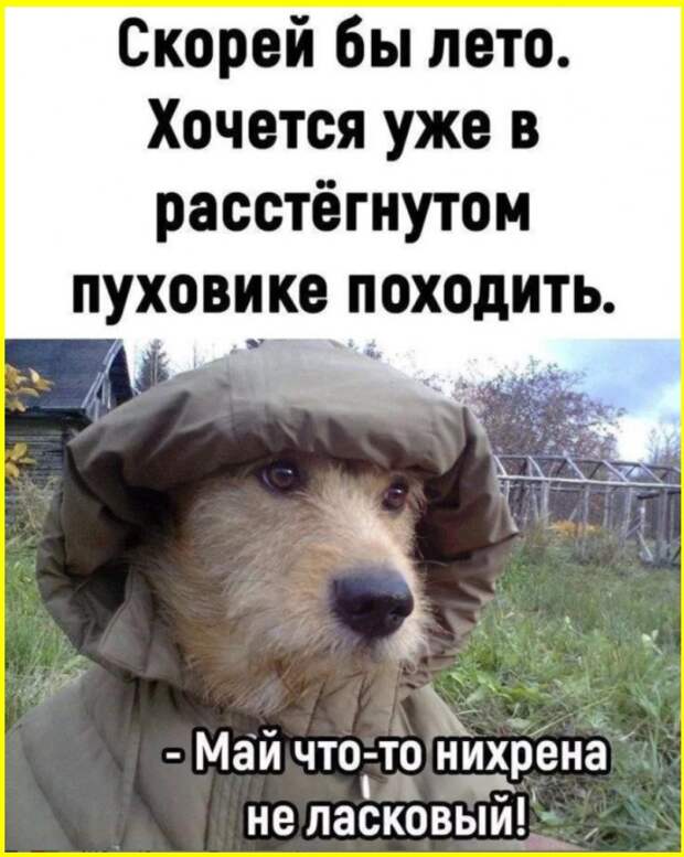 Юмор на сон грядущий