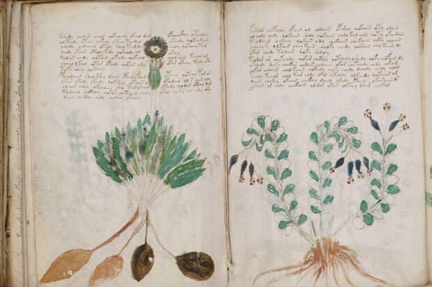 Таинственная древняя рукопись оказалась шифром