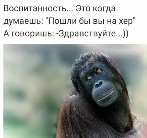 Продавец женщине в магазине:  — Вам чем-нибудь помочь?...