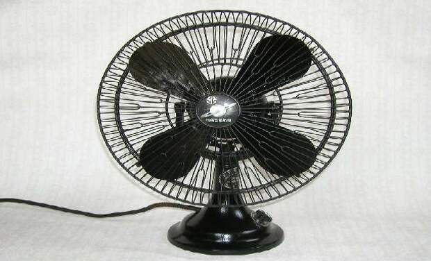 fan-610x370