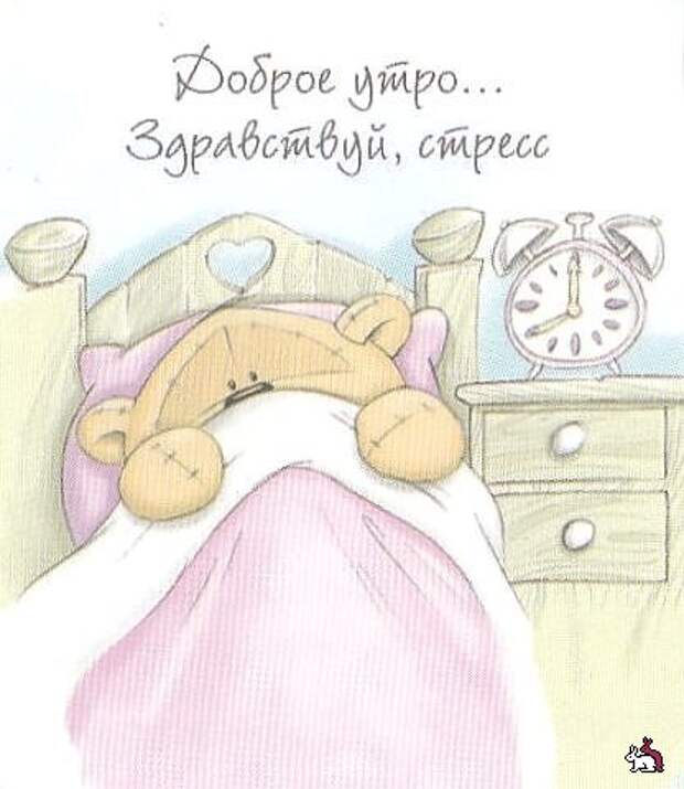 Смешные картинки дня. Насущные мысли Смешные картинки дня. Насущные мысли