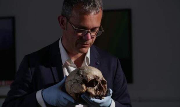Ученый Ян Барнс держит в руках череп мужчины из Чеддара. Экспонат хранится в природно-историческом музее.