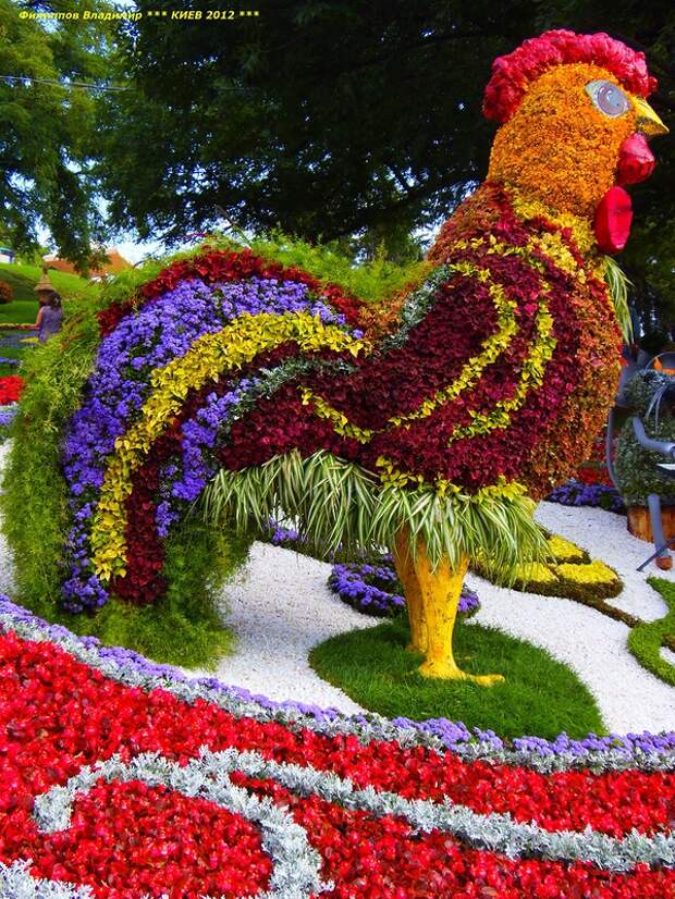 Выставка цветов 2012 в Киеве.