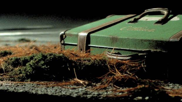 Мужчина нашел тела двух девочек в чемоданах во время прогулки с собакой