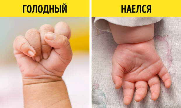 17 знаков, с помощью которых ребенок хочет что-то сказать, когда еще не умеет говорить