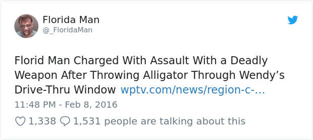 Florida-Man-Headings