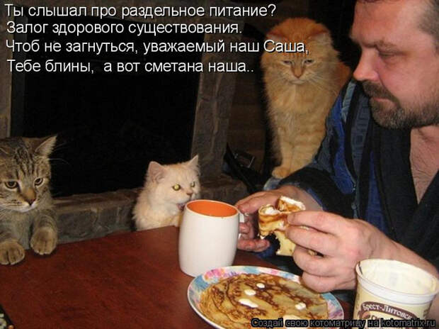 kotomatritsa_55 (700x524, 342Kb)