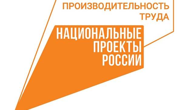 Экономический эффект нацпроекта «Производительность труда» оценили в 170 млн рублей