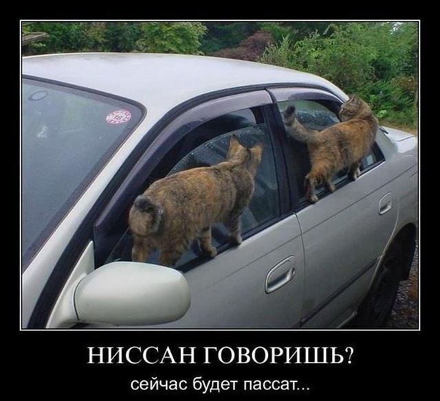 Свежие и прикольные демотиваторы на Бугаге (16 фото)