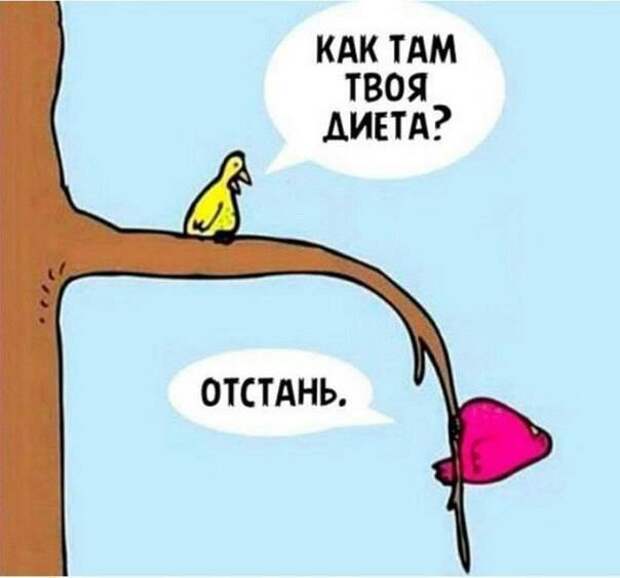 Картинки по запросу фото приколы ржака