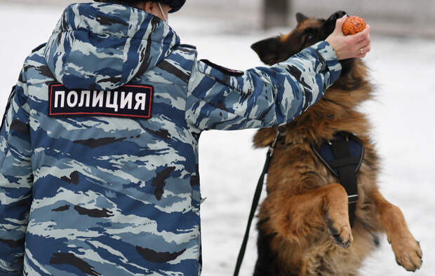 Под Петербургом возбудили уголовное дело после пропажи четвероклассницы