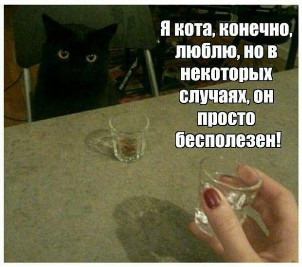 Свежие прикольные картинки