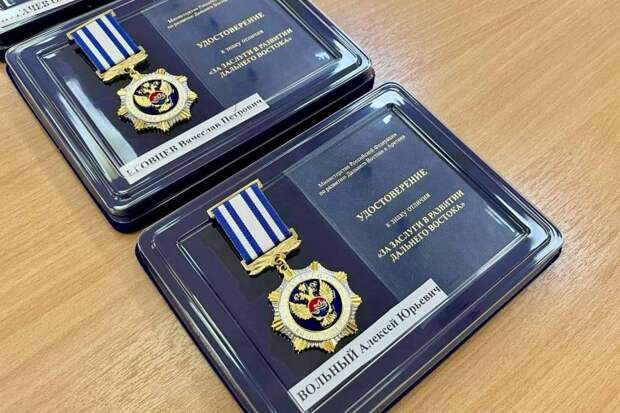 Награды Минвостокразвития отдали 4 силовикам и чиновнику в Забайкалье