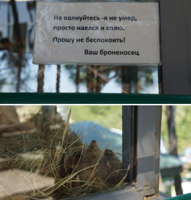 Подборка картинок. Дневной выпуск (20 фото)