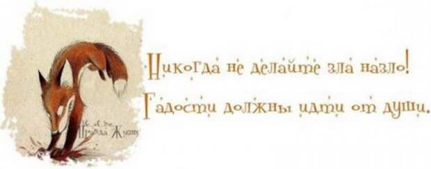 Жизненные мысли :-))